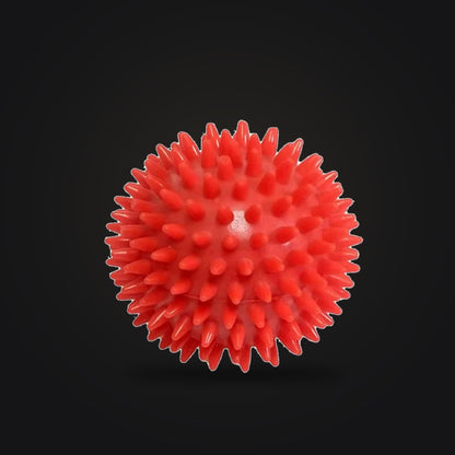Foot Massage Roller & Ball Set